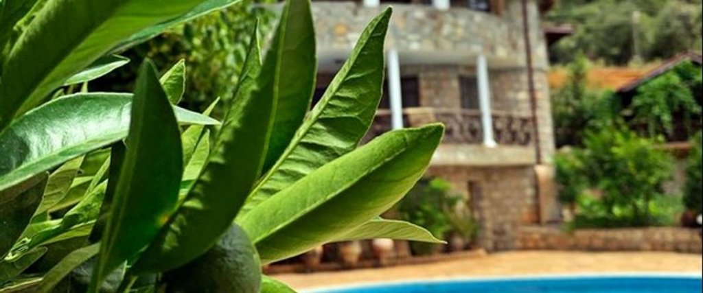 Каш: Kaş Doğapark Hotel