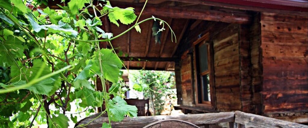 Каш: Kaş Doğapark Hotel