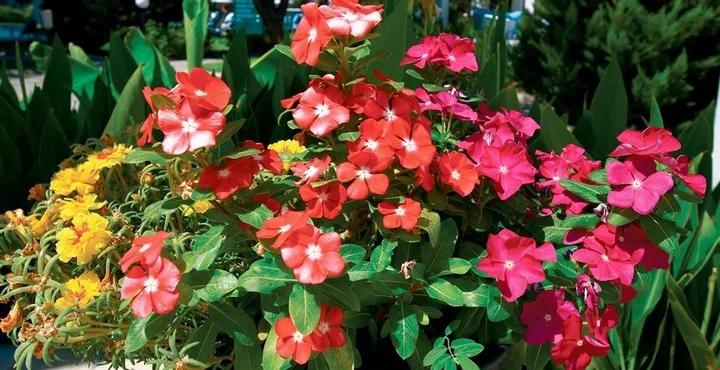 Бодрум: Bodrum Ortakent BD204