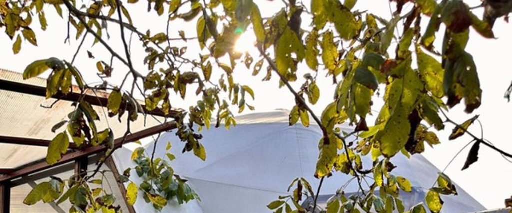 Сакарья: Time Out Sapanca Glamping Dome