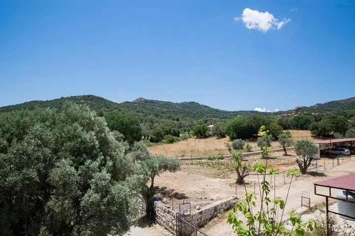 Бодрум: Bodrum Ortakent BD409