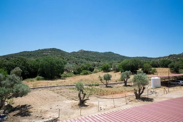 Бодрум: Bodrum Ortakent BD409