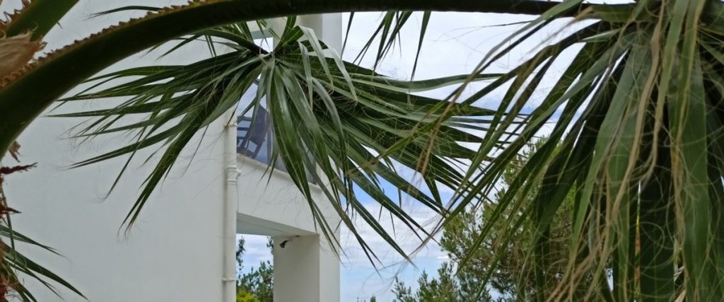 Согучак: Villa Turkuaz Kuşadası