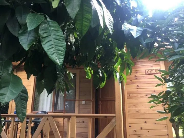 Чиралы: Вилла Halil Bungalow