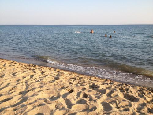 Эдирне: Saros Aslan Apart Hotel