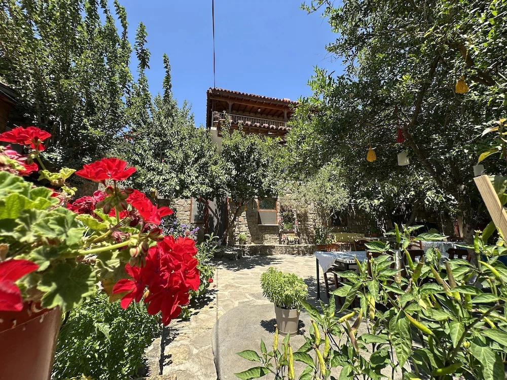Зейтинликой: Vama Konuk Evi