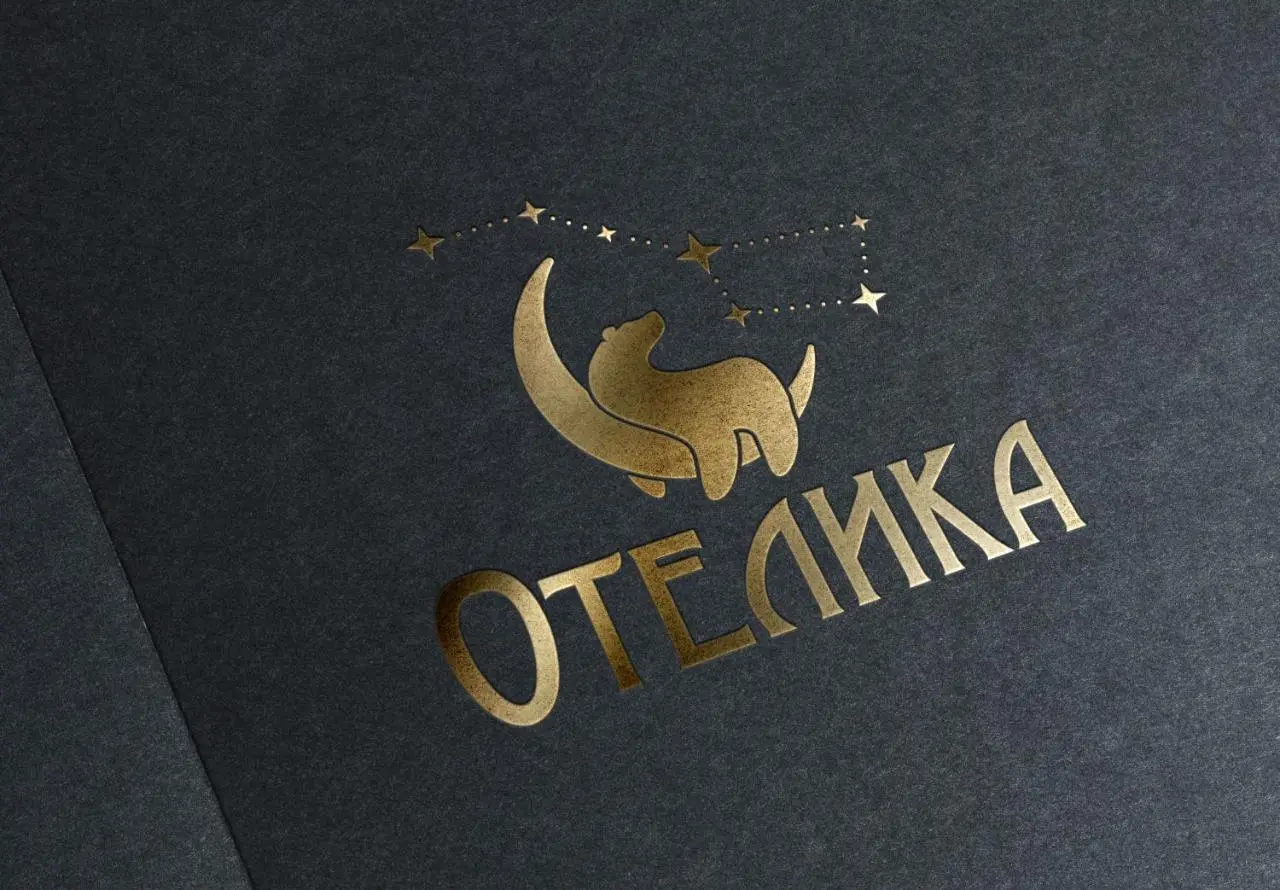Сыктывкар: Гостиница ОТЕЛИКА