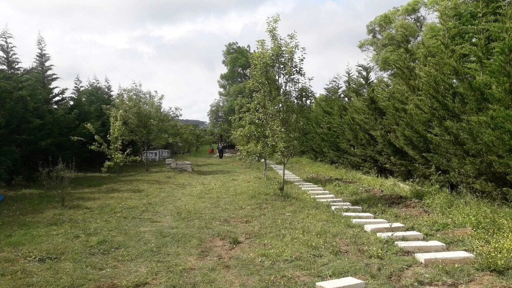 Сайл: Vira Garden House