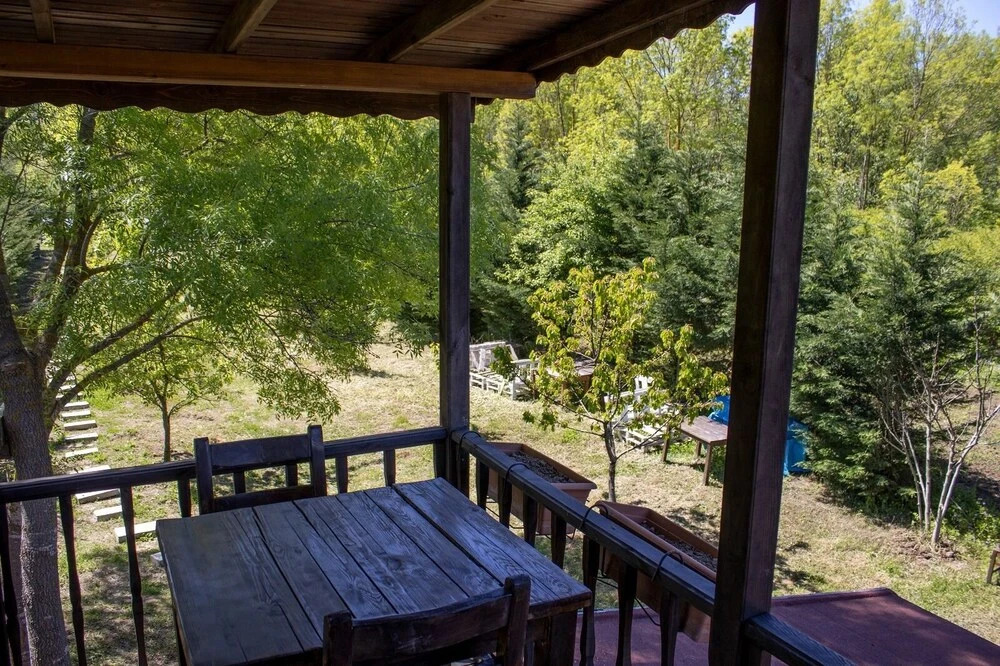 Сайл: Vira Garden House