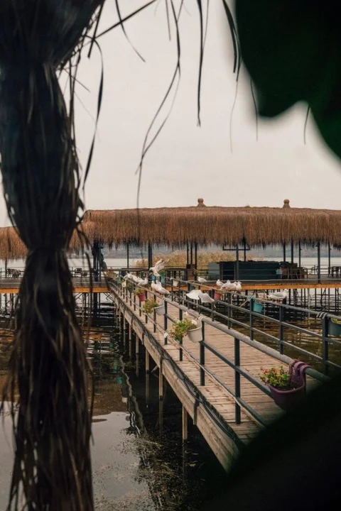Сакарья: Gölevi Resort Sapanca