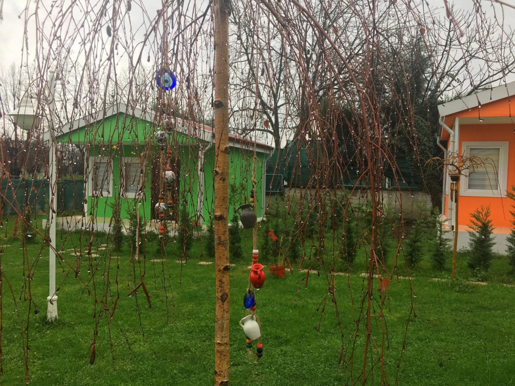 Сакарья: Alaska Bungalow Sapanca