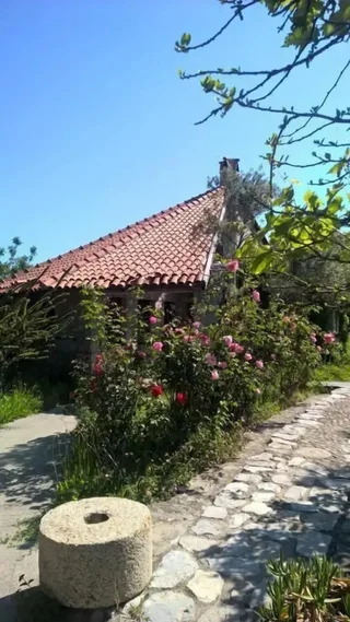Дальян: Caretta Villa