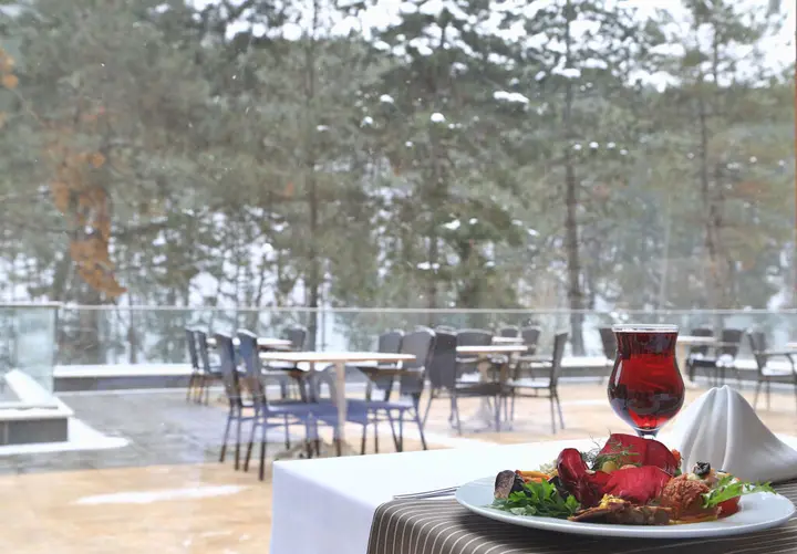Анкара: Cam Thermal Resort Spa Convention Center