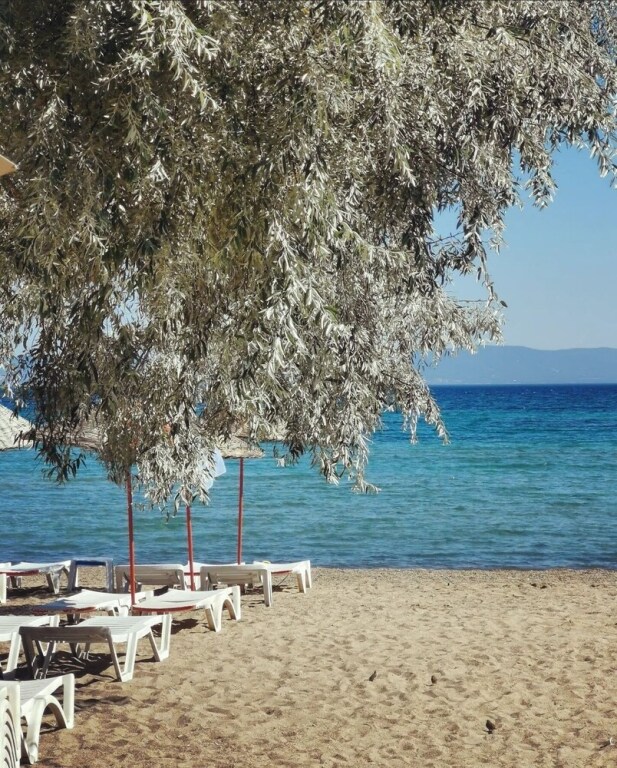 Гунейли: Holifera Hotel