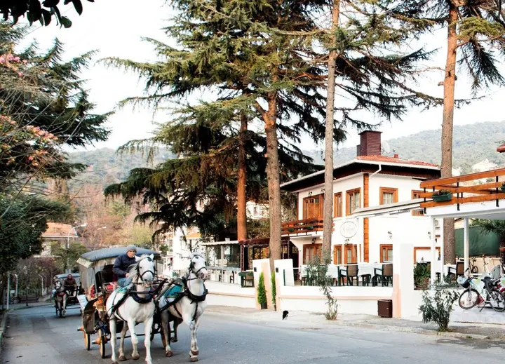 Бююкада: Nizam Butik Otel Buyukada