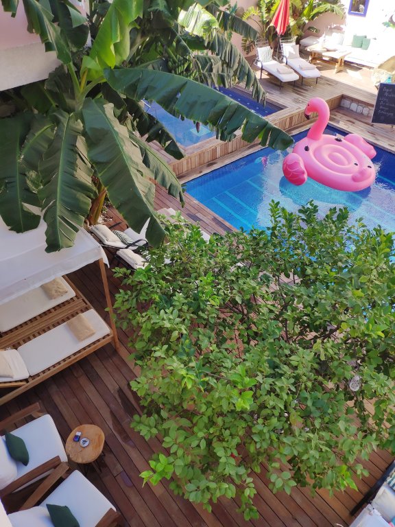 Чешме: Viento Hotel Alacati