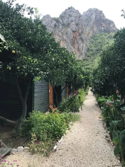 Кумлуджа: Olympos Yigit Pansiyon