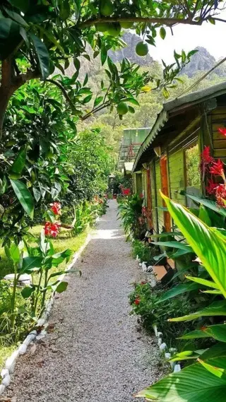 Кумлуджа: Olympos Yigit Pansiyon