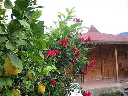 Чиралы: Cirali Almira Bungalow