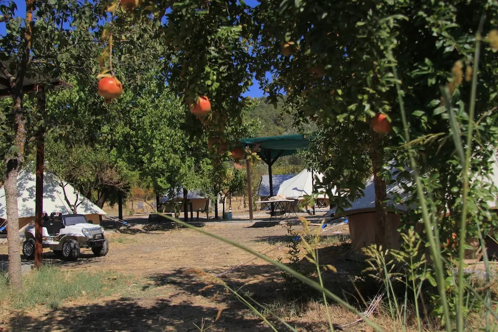 Даламан: Fark Edenler Camping&Caravan&Bungalows