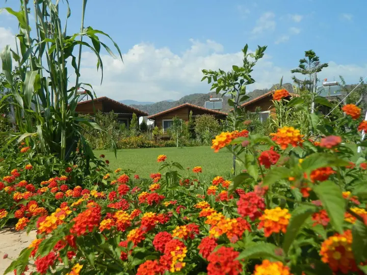 Чиралы: Ruya Villen Park