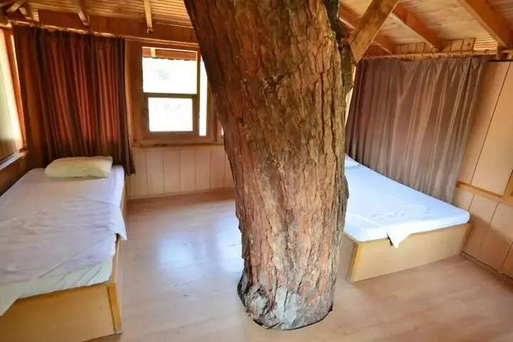 Патара: Gorge Club Saklikent - Campsite