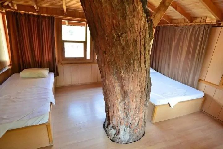 Патара: Gorge Club Saklikent - Campsite