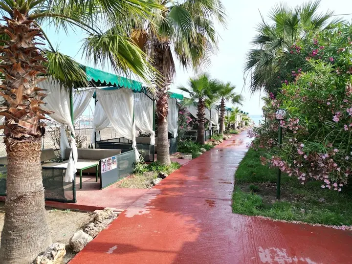 Аланья: Club Wasa Holiday Village Hotel