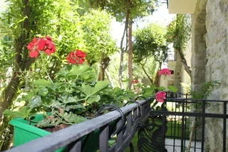 Голькой: Bella Garden Hotel