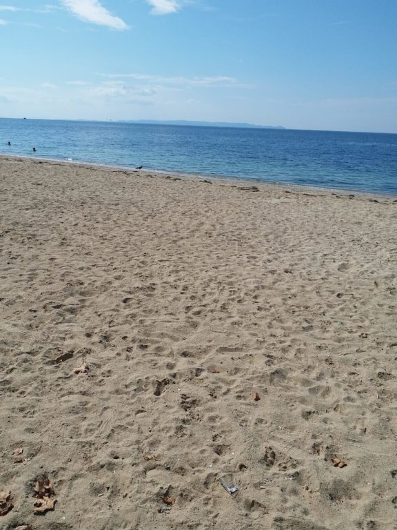 Мармара: Avsa Roza Apart