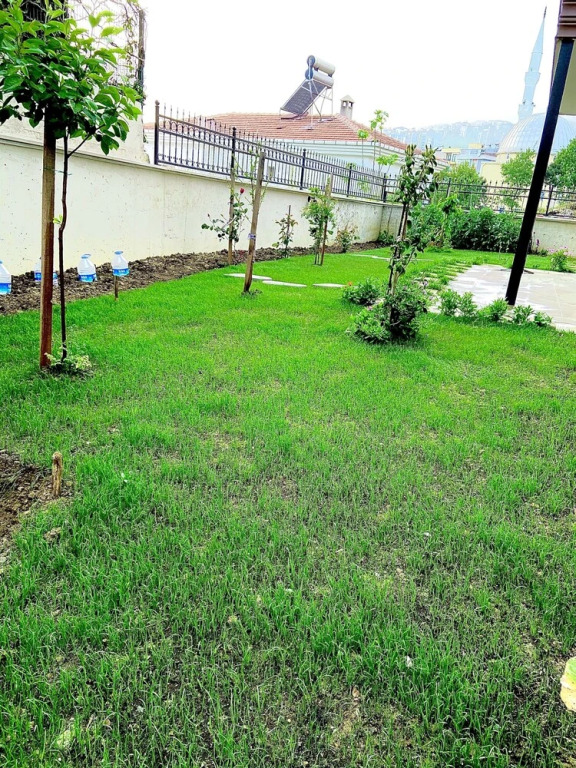 Синоп: Yelken Pansiyon Sinop