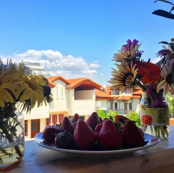 Дальян: Erasmus Apart Hotel