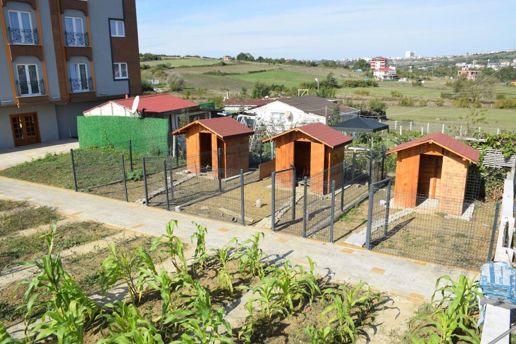 Синоп: Kuzey Otel
