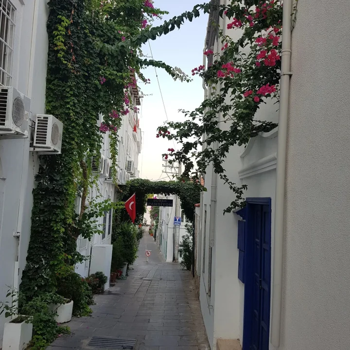 Бодрум: Durak Hotel