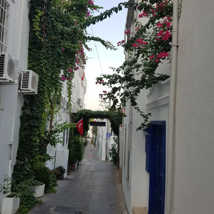 Бодрум: Durak Hotel