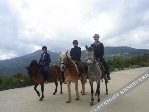 Чиралы: Olympos Village