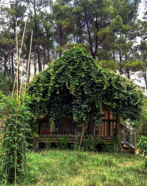 Чиралы: Olympos Village