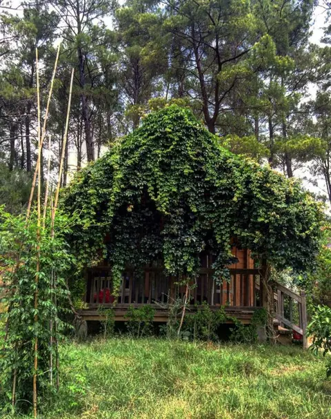 Чиралы: Olympos Village