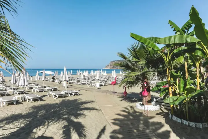 Аланья: Blue Wave Suite Hotel - All Inclusive