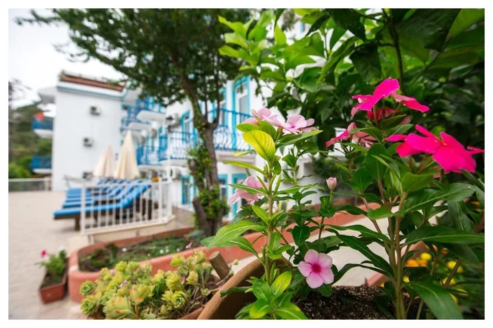 Фетхие: Mavi Yaprak Hotel