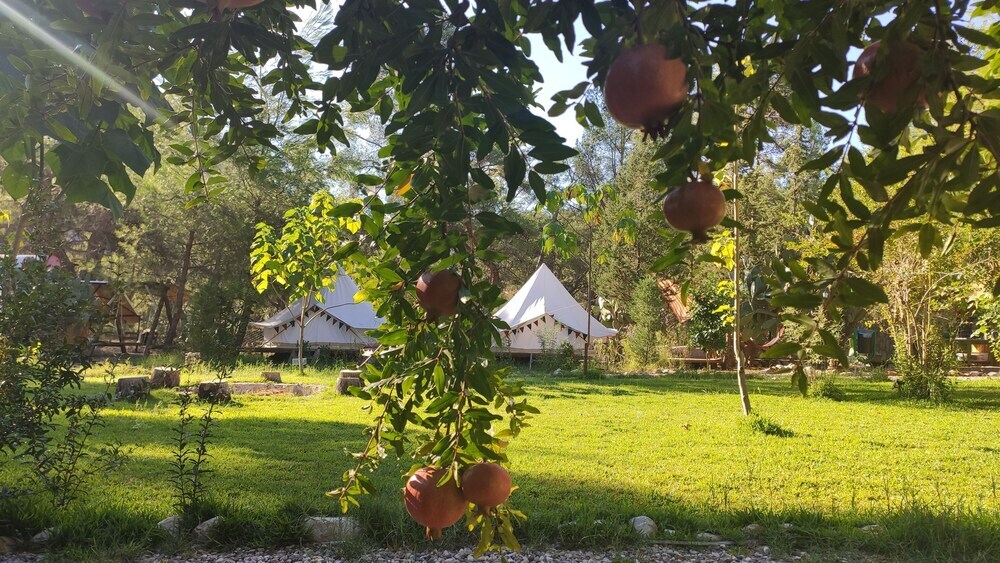Кумлуджа: Kunduz Kamp