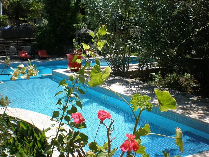 Кушадасы: Bakkhos Guesthouse