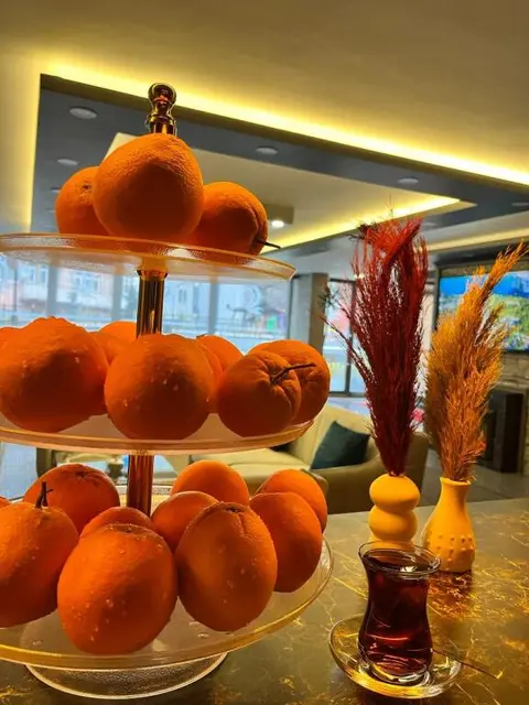 Эрзурум: Çag Otel