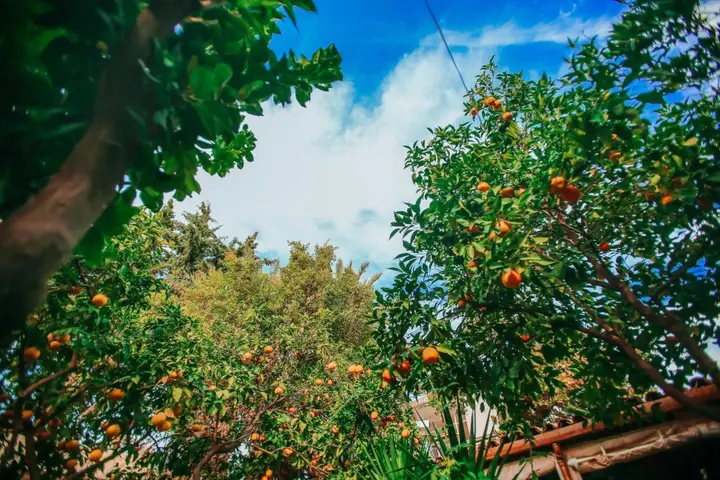 Анталья: Hadrianus Boutique Hotel
