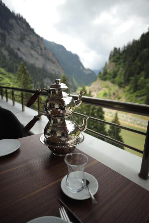 Узунгёль: Pazarcik Mountain Hotel