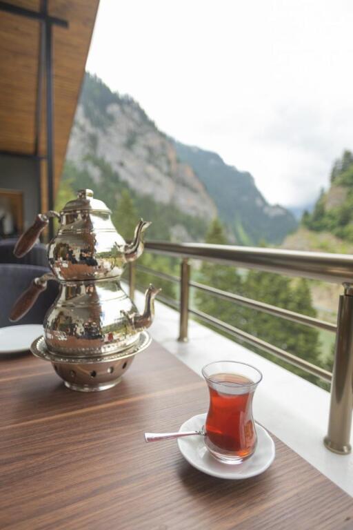 Узунгёль: Pazarcik Mountain Hotel