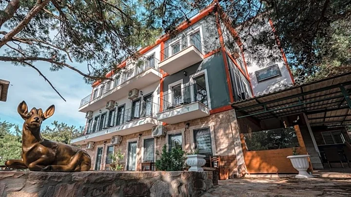 Айвалык: Camlik Deniz Yildizi Hotel