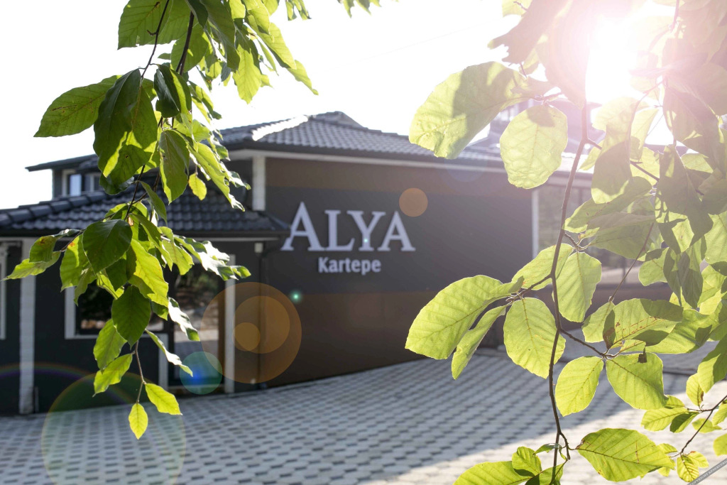 Янык: Alya Kartepe Villa Hotel
