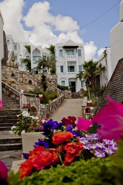 Бодрум: Afytos Bodrum