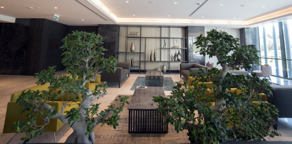 Стамбул: Wish More Hotel Istanbul